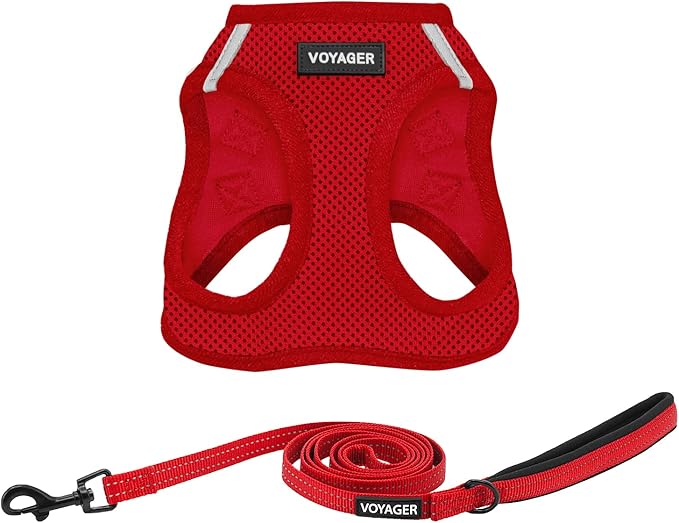 Best Pet Supplies Voyager Step-in Air All Weather Mesh Harness and Reflective Dog 5ft Leash Combo with Neoprene Handle, for Small, Medium and Large Breed Puppies - Set (Red), XXX-Small