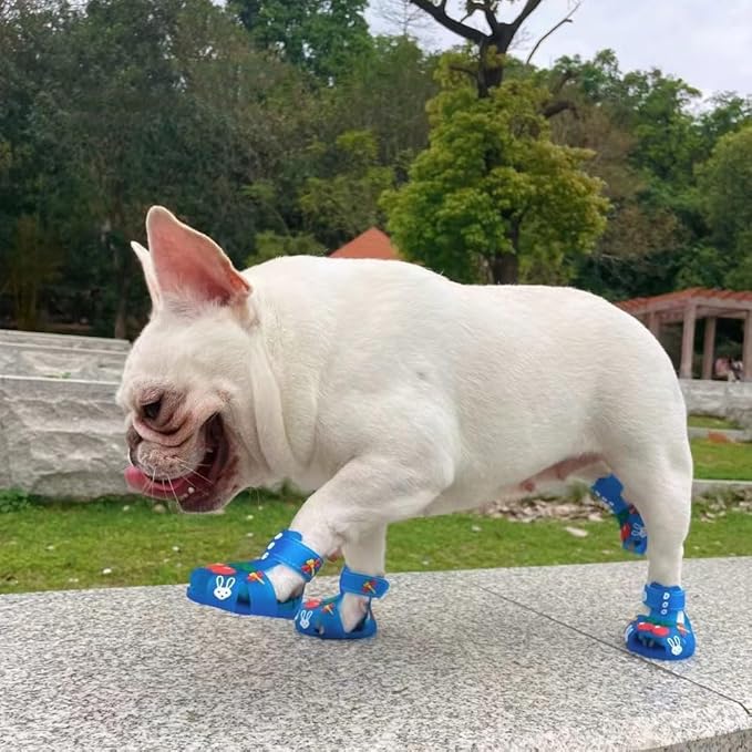 Cute Summer Dog Shoes Sweet Cherry Puppy Sandals Pet Jelly Shoes Flats, Dog Booties Paw Protector for Summer Hot Pavement (Candy Blue, #2: 1.89''x1.50''(Length*Width))