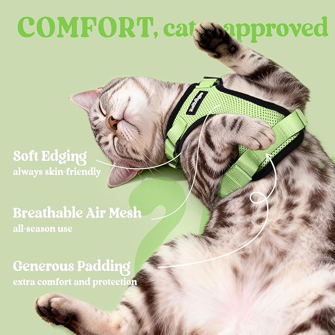 rabbitgoo Cat Harness and Leash Set, Escape Proof Kitten Harness for Safe Outdoor Walks, Soft Breathable Adjustable Vest with Reflective Strips for Kittens and Extra Small Cats, Light Green, XXS