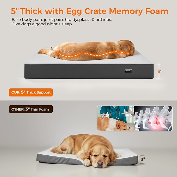 5 Inch Thick Orthopedic Dog Bed for Medium & Large Dogs, High Density Egg Crate Memory Foam with Support Foam, Waterproof Liner & TPU, Removable Washable Cover, Nonskid Bottom, 47"x30"x5", Grey