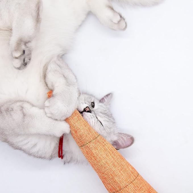 Carrot Catnip Toys with Crinkle Paper for Indoor Cats to Keep Them Busy, Soft Linen, Interactive Cat Feather Toys for Kitten Kicking, Teething, Exercise, Catmint Toys for All Breeds (2 PCS)