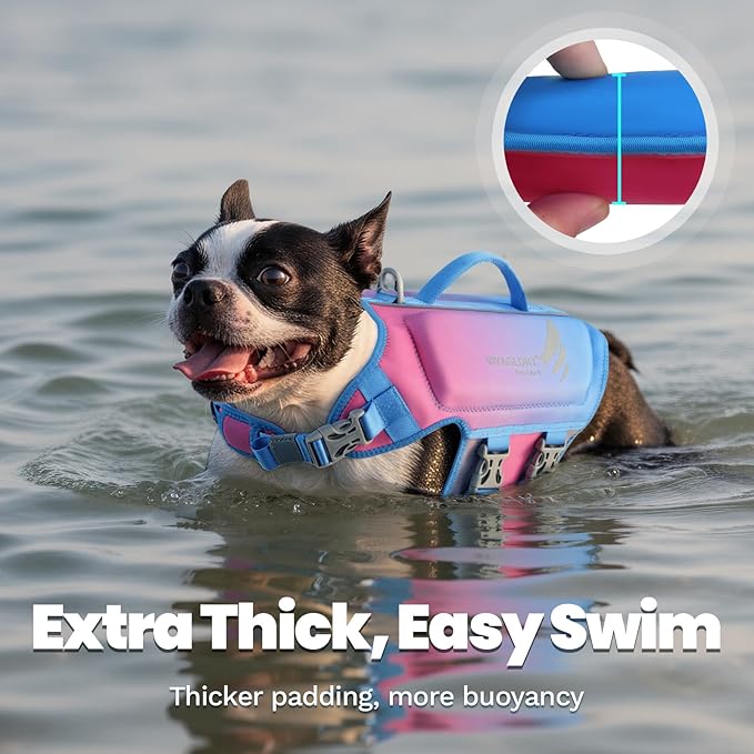 VIVAGLORY High Buoyancy Dog Life Vest, Swimming Vest with Handle, Dog Life Jacket for Swimming & Boating, Buoyancy for Puppy Doggy, M, Pink Blue