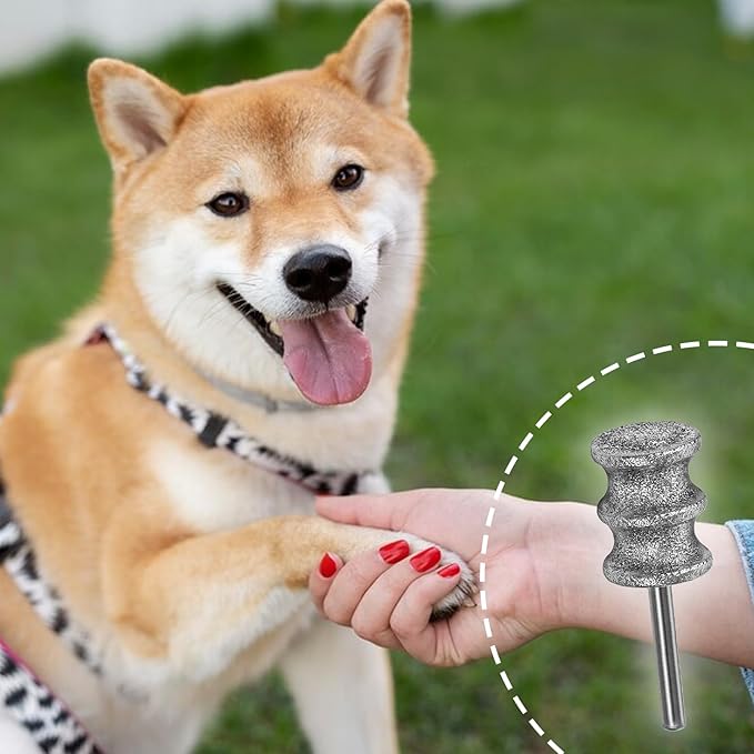 Ptwola Diamond Dog Nail Grinder Bits 1/8" Pet Rotary Toenail Grinder Attachment Dog Claw Grinder Replacement Heads Nail File Wheel for Medium Large Dogs Nail Care Trimming