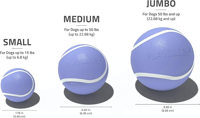 Playology Dog Toys | Squeaky Chew Ball for Dogs | Blueberry Scented Medium Dog Ball | Bouncy Floating Chew Toys for Fetch