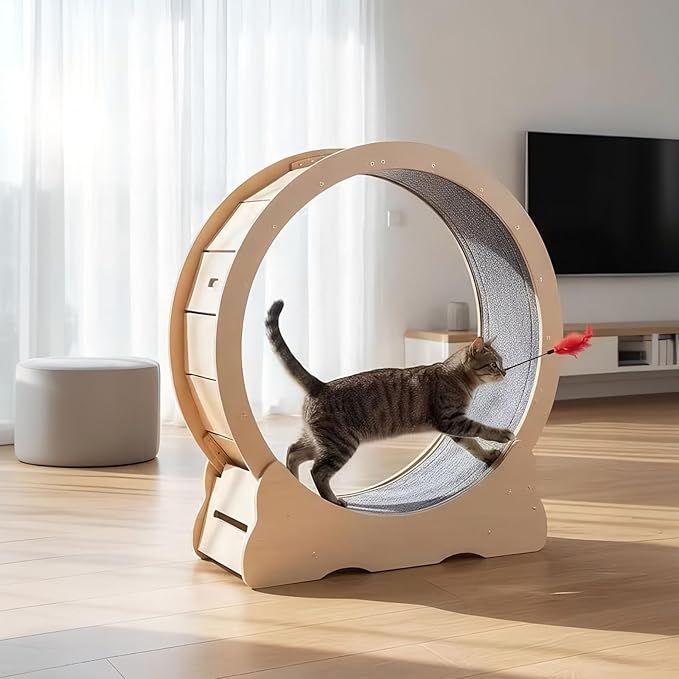 Cat Exercise Wheel for Indoor Cats, 36" Cat Treadmill Wheel with Detachable Carpeted Runway, Natural Solid Wood Sturdy Running Wheel for Running/Training/Walking, Suitable for Most Cats