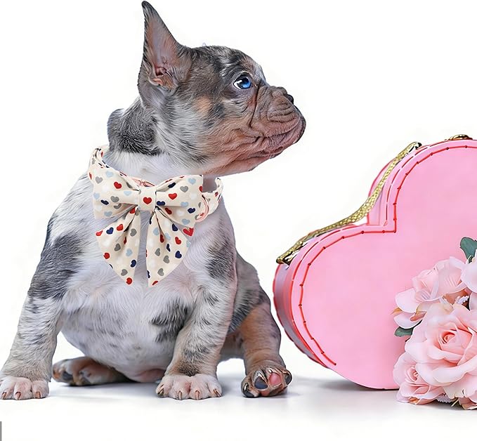 DOGWONG Dog Bow Collar Valentine's Day Dog Collar -Hearts Print Dog Collar with Bowtie Spring Dog Collars Pet Collar Bows Cute Collars,XS