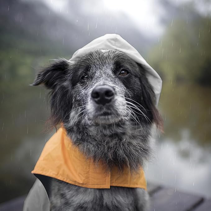 Dog Raincoat with Reflective Strips | Ultra-Light Breathable Waterproof Jacket with Adjustable Hood - Suitable for Small, Medium & Large Dogs (Grey, XXL)