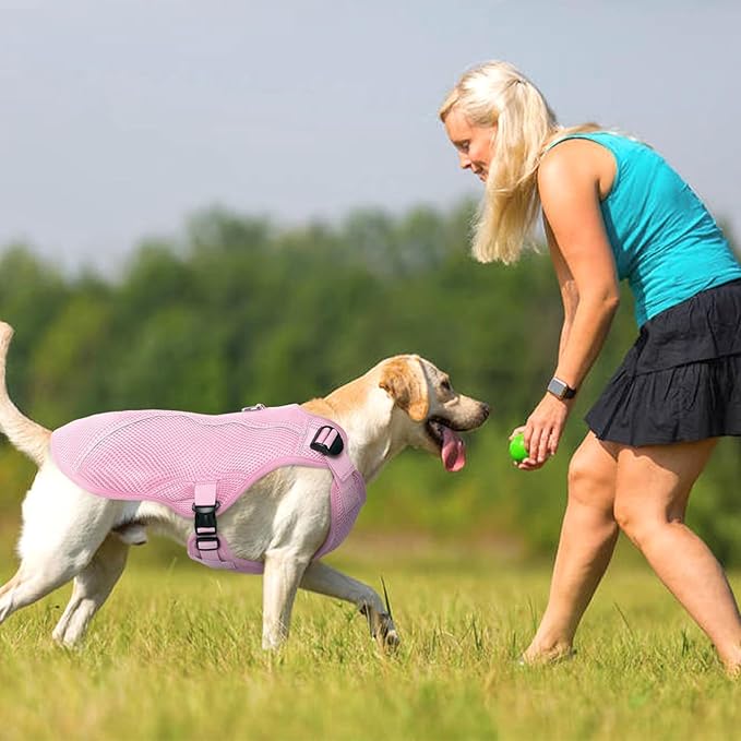 Kuoser Dog Cooling Vest for Large Dogs, Lightweight Doggie Cooler Jacket Breathable Mesh Pet Cooling Shirts Reflective Puppy Cool Harness for Beach, Hiking, Walking Pink XL
