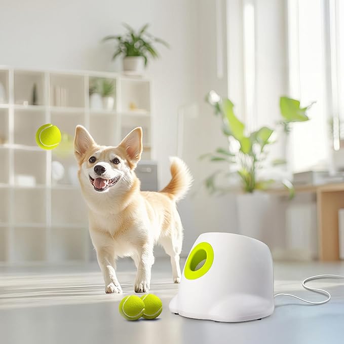 AFP Automatic Ball Launcher for Dogs, USB Rechargeable Interactive Dog Ball Thrower Machine, Auto Fetch Launcher for Small&Medium Dogs, Indoor Outdoor Puppy Play Toy, 3 Tennis Balls Included (2 Inch)