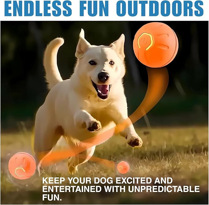 Interactive Dog Ball Toy for Small Dogs-Automatic Self-Moving Pet Toy,USB Rechargeable, Durable & Safe for Mental Stimulation (Blue)