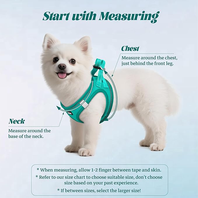 YIMEIS Dog Harness and Leash Set, No Pull Soft Mesh Pet Harness, Reflective Adjustable Puppy Vest for Small Medium Large Dogs, Cats (Turquoise, Medium (Pack of 1)