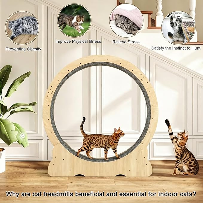 Cat Exercise Wheel for Indoor Cats, 36" Cat Treadmill Wheel with Detachable Carpeted Runway, Natural Solid Wood Sturdy Running Wheel for Running/Training/Walking, Suitable for Most Cats