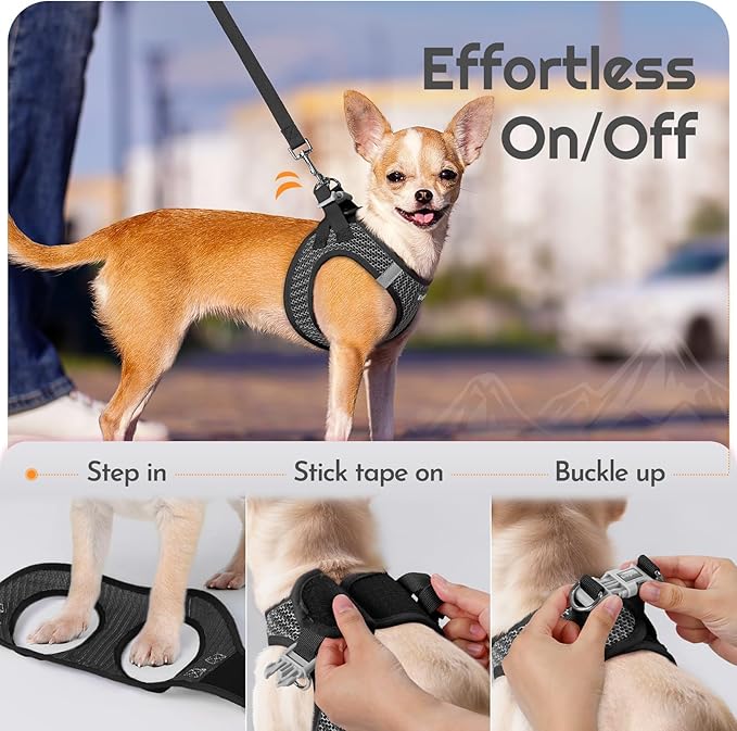 Eagloo Small Dog Harness and Leash Set, Step in Puppy Vest with Breathable Soft Mesh, Walking Reflective Pet Harness for Medium Small Dogs, Gray, L