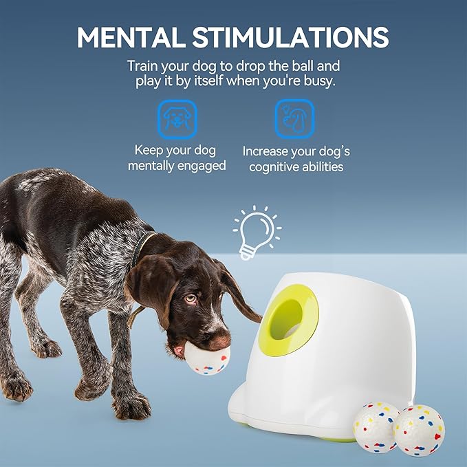 ALL FOR PAWS Automatic Ball Launcher for Dogs, Interactive Puppy Pet Balls Outdoor Thrower for Medium to Large Dogs and six 2.5-inch Tennis Balls Bundle