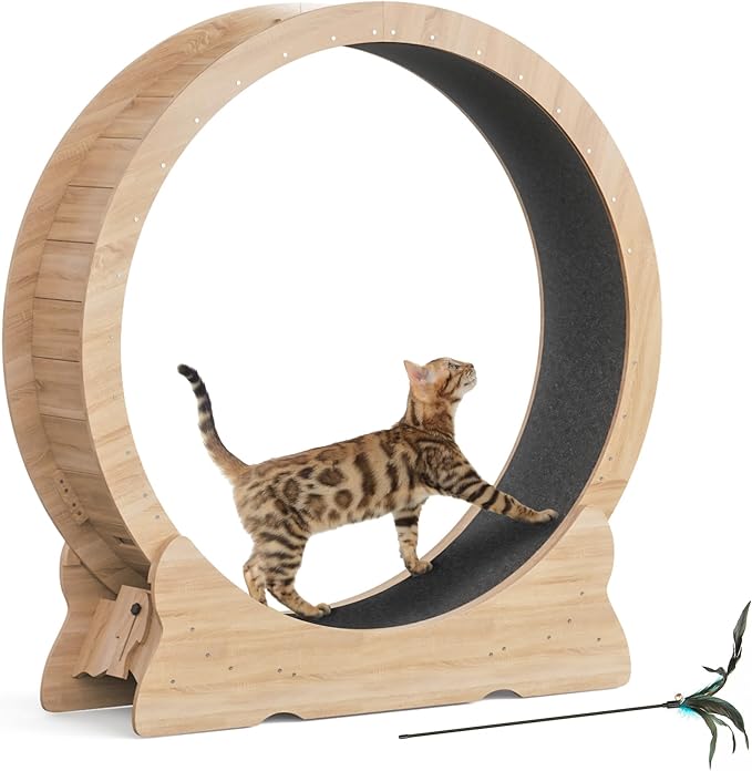 Mondeer Cat Exercise Wheel, 46'' Cat Wheel for Indoor Cats with Carpeted Runway, XL Treadmill with Removable Carpet and Teaser, for Running Walking Training (Natural Wood)