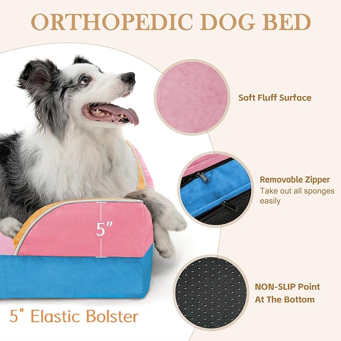 Comfort Expression Orthopedic Dog Bed for Large Dogs 36x27 Inch, Waterproof Egg Crate Foam Large Pet Bed with Bolsters, Dog Couch with Washable Cover & Non-Slip Bottom, Bubblegum Cove