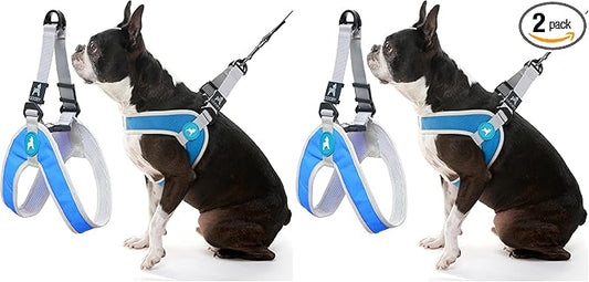 Gooby Simple Step in III Harness - Blue, Large - Small Dog Harness with Scratch Resistant Outer Vest - Soft Inner Mesh Harness for Small, Medium Dogs (Pack of 2)