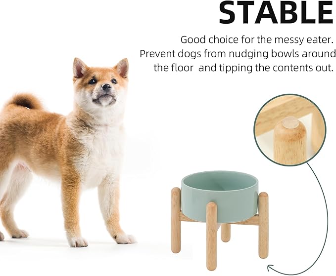 Havniva 6.1inch Ceramic Raised Dog Bowl with Stand, Elevated Dog Bowls for Small and Medium Breed Dog Food and Water Bowl Non-Slip Dog Dish Large Capacity Feeding Pet Water Bowl