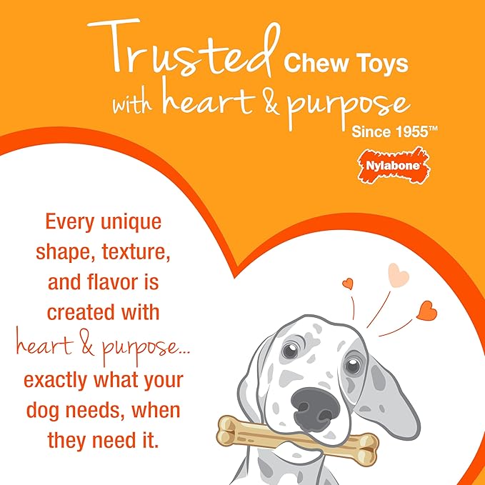 Nylabone Textured Dental Bone Flexi Chew Toy for Dogs, Dog Toys for Moderate Chewers, Chicken Flavor, Small - Up to 25 Ibs, 1 Count