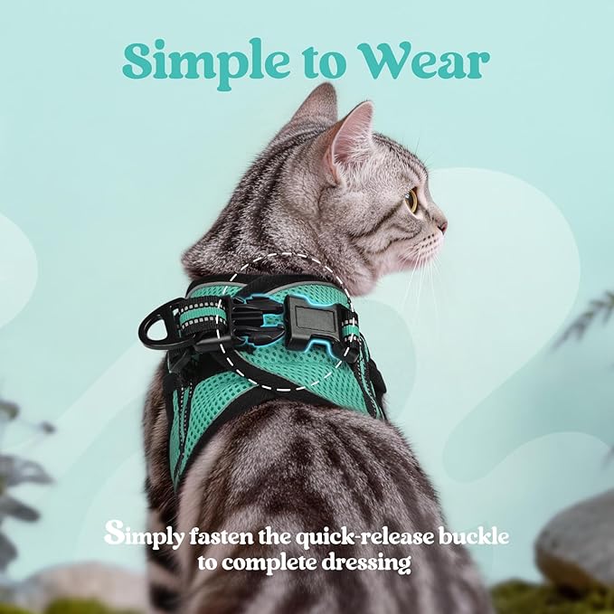 rabbitgoo Cat Harness and Leash, Step-in Escape Proof Kitten Harness Set, Soft Comfortable Cat Vest, Easy to Wear and Adjust, Reflective for Safe Outdoor Walking, Green, Large