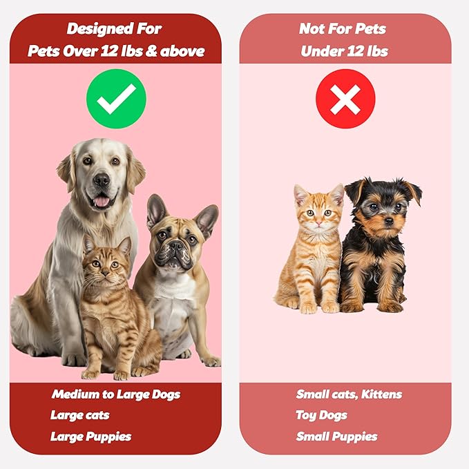 Pet Toothbrush for Dogs, Cats with Soft Bristles - Easy Teeth Cleaning & Dental Care, Non Slip Dual Head Dog Toothbrush for Medium & Large Pets, Toothpaste Not Included (Pack of 2(Pink & Green))