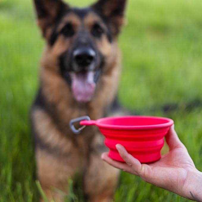 Messy Mutts Silicone Collapsible Bowl | Pet Travel Necessity | Portable Water or Food Dish | Pop Up Watering Bowl | Camping, Hiking, Walking Accessory | Large, 3 Cups | Blue
