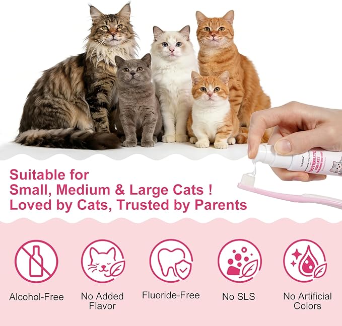 Dental Care Kit – Cat Toothbrush and Toothpaste – Enzymatic & No Added Flavor – Fights Plaque, Tartar & Bad Breath – Soft-Bristled Toothbrush & Finger Brush – For Sensitive Cats & Kittens, 1.06 oz
