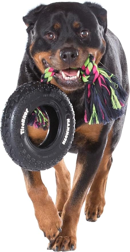 Mammoth TireBiter Originals Parent (Rubber Dog Toy with Cotton-Poly Rope -2 Pack, Large 10'')