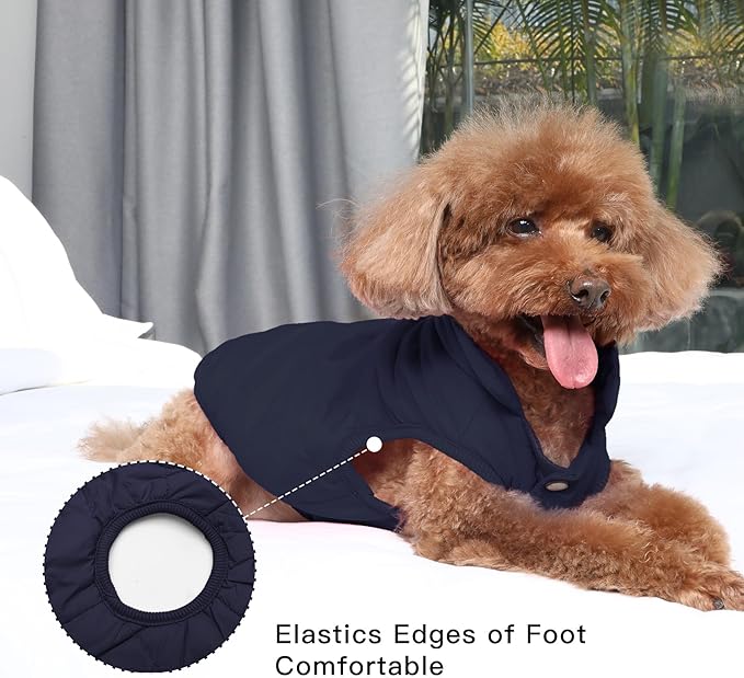 JoyDaog 2 Layers Fleece Lined Warm Dog Jacket for Winter Cold Weather,Soft Windproof Large Dog Coat,Blue XXL