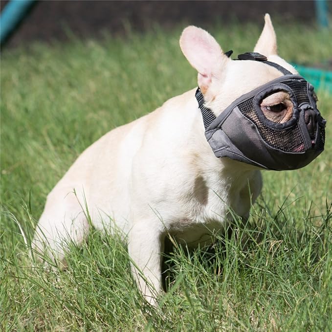 Short Snout Dog Muzzles- Adjustable Breathable Mesh Bulldog Muzzle for Biting Chewing Licking Training Grooming Dog Mask (Grey, Large)
