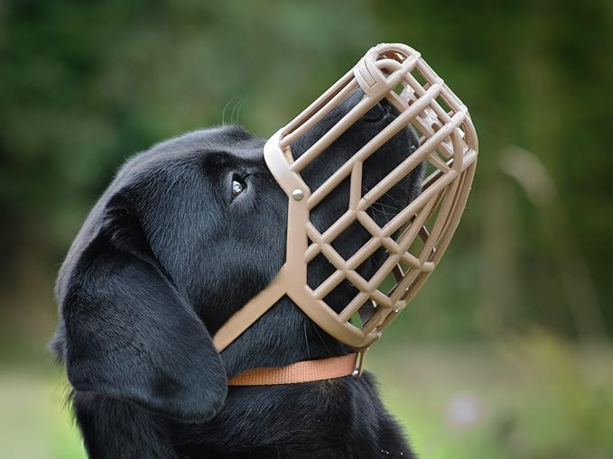 OmniPet Leather Brothers Italian Basket Dog Muzzle, Adjustable Secure Fit, Comfortable Design, Training and Safety, Averts Biting, Prevents Chewing and Scavenging, Perfect for Grooming - Tan, Size 3