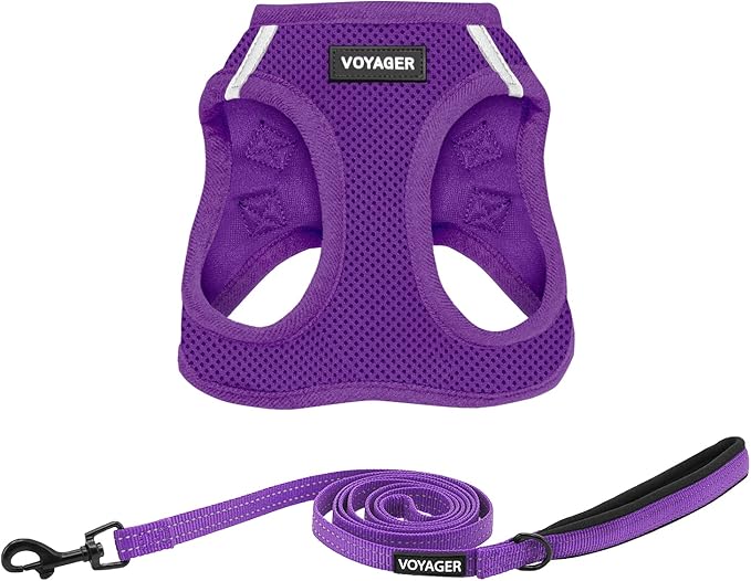 Best Pet Supplies Voyager Step-in Air All Weather Mesh Harness and Reflective Dog 5ft Leash Combo with Neoprene Handle, for Small, Medium and Large Breed Puppies - Set (Purple), XXX-Small