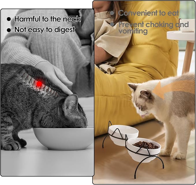 Cat Food Water Bowl Set, Double Ceramic Pet Bowls with 15°Tilted Raised Stand, Elevated Feeding Station with Two Removable Bowls, Raised Cat Bowl, Anti Vomiting Pet Dish Feeder, Kitten and Small Dogs