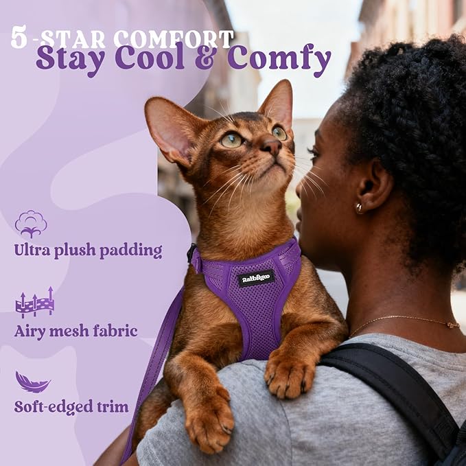 rabbitgoo Cat Harness and Leash, Escape Proof Vest with 3 Adjustable Buckles, Soft Comfortable Kitten Harness, Easy to Wear, Reflective for Safe Outdoor Walking, Small, Purple
