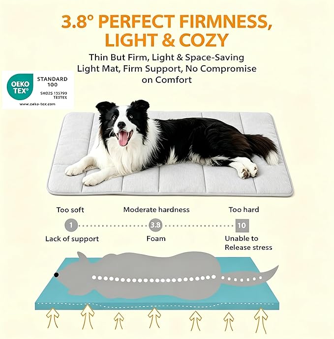 Dog Cooling Mat for Medium Dogs - 30x20 Orthopedic Memory Foam Pet Pad for Summer, QMAX>0.5, Washable Premium Comfort Crate Pad for Your Furry Companion, Wander Blue