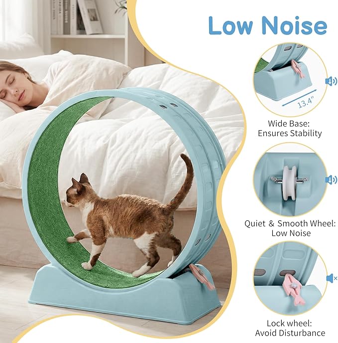 Outvita Cat Exercise Wheel for Indoor Cats, 31.5" Cat Treadmill with Detachable Carpet ＆ Locking Mechanism, Cats Running Wheel Helps Cats to Lose Weight and Keep Health, Easy Assembled (Blue)