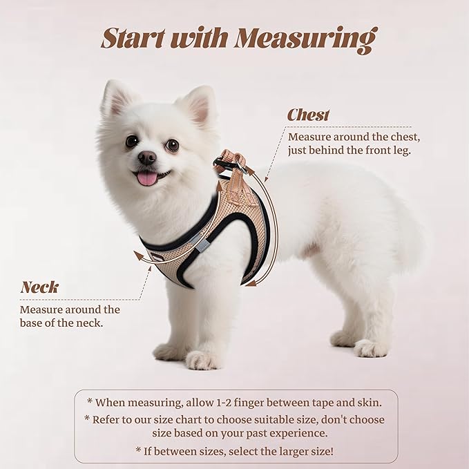 YIMEIS Dog Harness and Leash Set, No Pull Soft Mesh Pet Harness, Reflective Adjustable Puppy Vest for Small Medium Large Dogs, Cats (Flesh Pink, Small (Pack of 1)