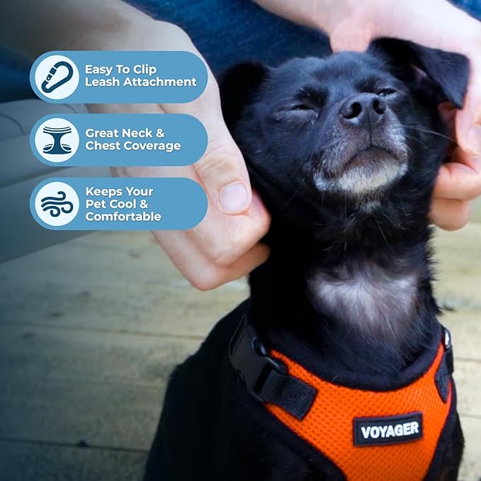 Best Pet Supplies Voyager Step-in Lock Pet Harness w Reflective Pet Leash Combo Set with Neoprene Handle 5ft - Supports Small, Medium and Large Breed Puppies/Cats - Orange/Black Trim Set, XL