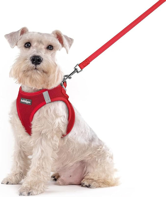 rabbitgoo Dog Harness Small Sized and Leash Set, Step in Soft Light Puppy Vest, Breathable Mesh Pet Harness, Reflective for Outdoor Safe Walking, Red XXL