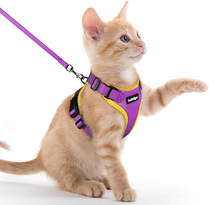 rabbitgoo Cat Harness and Leash Set, Escape Proof Kitten Harness for Safe Outdoor Walks, Soft Breathable Adjustable Vest with Reflective Strips for Kittens and Extra Small Cats, Purple & Yellow, XXS