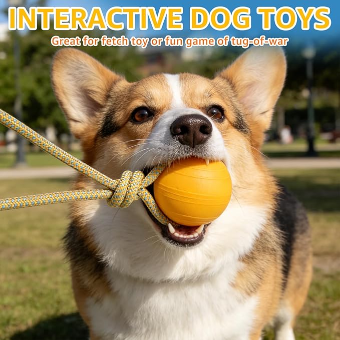 SCENEREAL Floating Dog Pool Toys - Ball on Rope Fetch and Tug-of-War Toy for Medium Large Dogs Outdoor Training, EVA Rubber Water Pet Interactive Toys for Summer Beach, Yellow