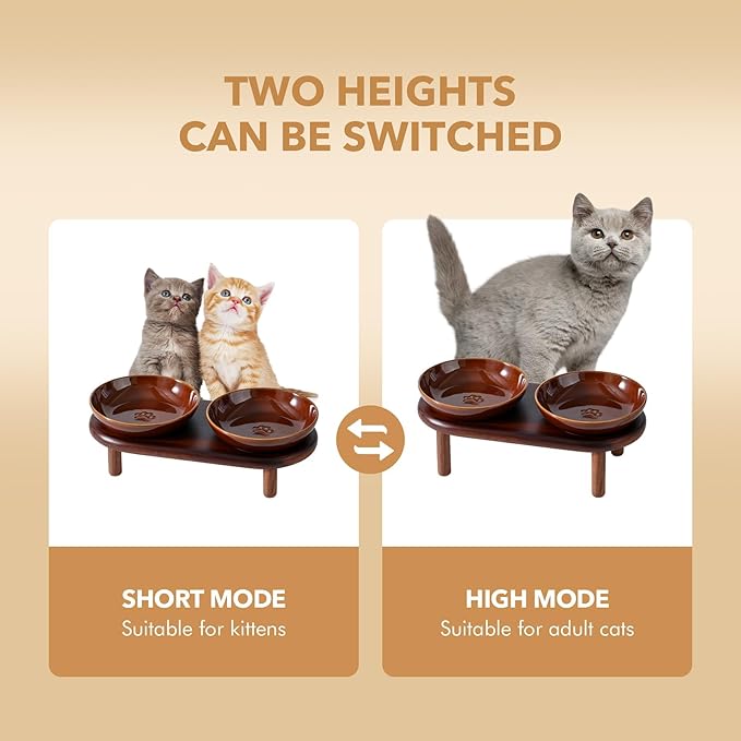 Havniva Elevated Cat Bowls Raised Ceramic Cat Bowl, 5.9” Wide Opening Cat Food Bowl Whisker Friendly Cat Dish Anti-Slip with Wood Stand, Shallow Pet Food & Water Bowl for Indoor Cats