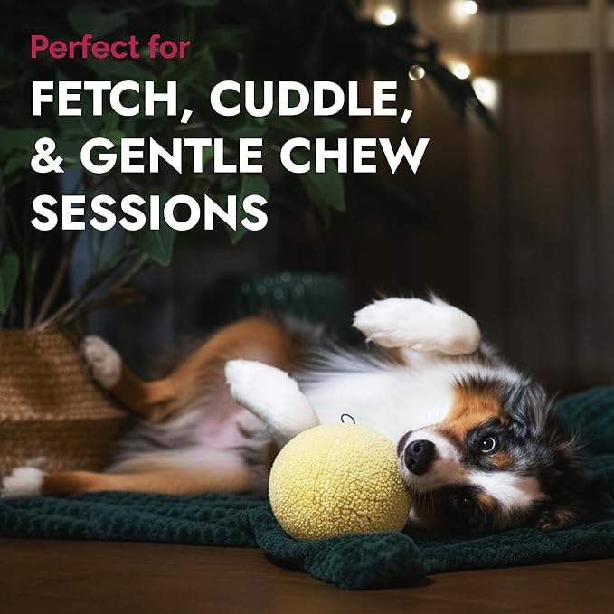PetLou Dog Fleece Ball Chew Toy, 8"