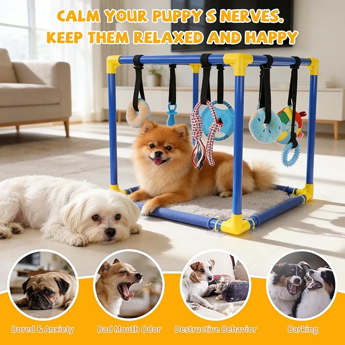 Puppy Play Gym with Hanging Toys, Dog Indoor Jungle Gym as Activities Center for Puppies, PVC Frame with 8 Enrichment Toys for Small Dogs Kitten and Other Pets