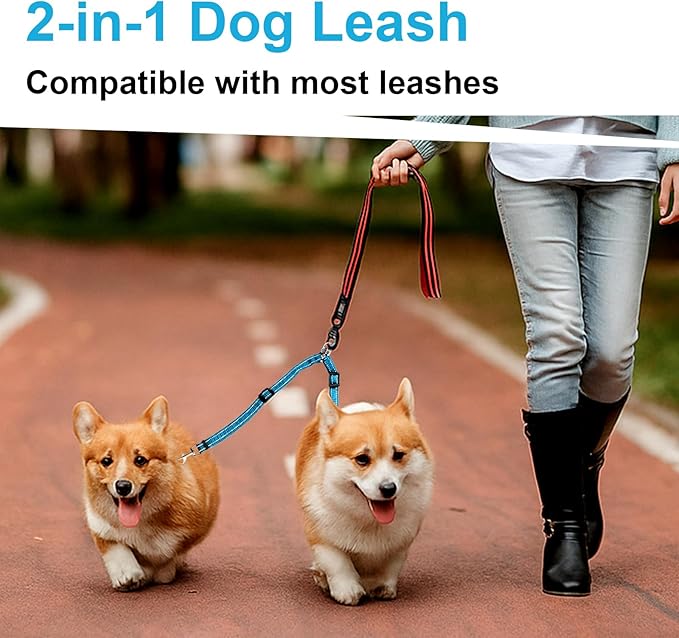 MingXpet Double Dog Leash for Two Dogs, No Pull Dog Leash, 360° Swivel No Tangle for Small Dogs Walking & Training, Shock Absorbing Reflective Bungee, Blue