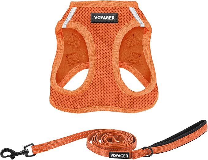 Best Pet Supplies Voyager Step-in Air All Weather Mesh Harness and Reflective Dog 5ft Leash Combo with Neoprene Handle, for Small, Medium and Large Breed Puppies - Set (Orange), Large