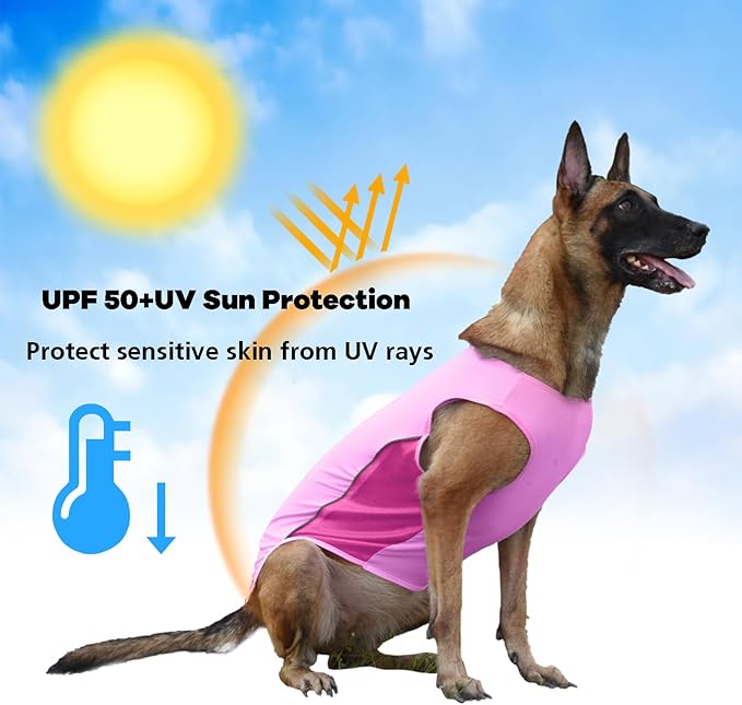 UPF 50+ Sun Protection Dog T-Shirt, 2 Pack Lightweight Sleeveless Dog Vest for Small Medium Dogs Girl – Reflective Strips, Quick-Dry Pet Apparel, Sports Fan Shirt P23ST00504L