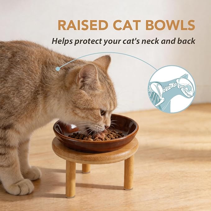 Havniva Elevated Cat Bowls Raised Ceramic Cat Bowl, 5.9” Wide Opening Cat Food Bowl Whisker Friendly Cat Dish Anti-Slip with Bamboo Stand, Shallow Pet Food & Water Bowl for Indoor Cats