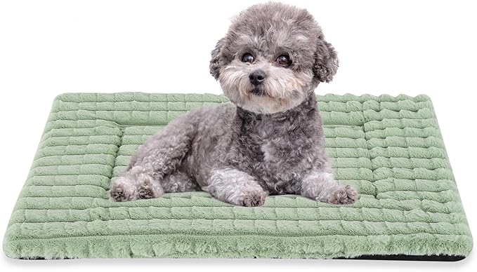 BVAGSS Dog Bed Washable Crate Mattress,Anti-Slip Memory Foam Soft Warm Pet Cushion for Small Medium Dogs, Calming Fluffy Sleeping Kennel Pad XH082 (30''x20'',Green)
