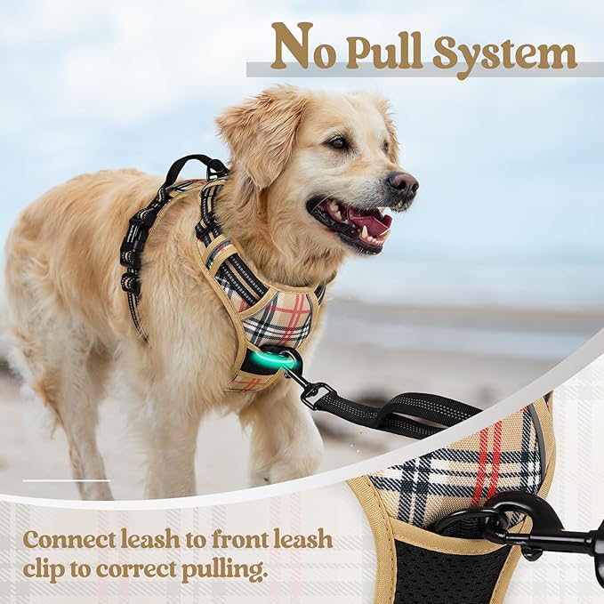rabbitgoo Dog Harness No Pull with 2 Leash Clips, Adjustable Soft Padded, Reflective Oxford No Choke Pet Vest with Easy Control Handle for Small Dogs, Beige Plaid, S